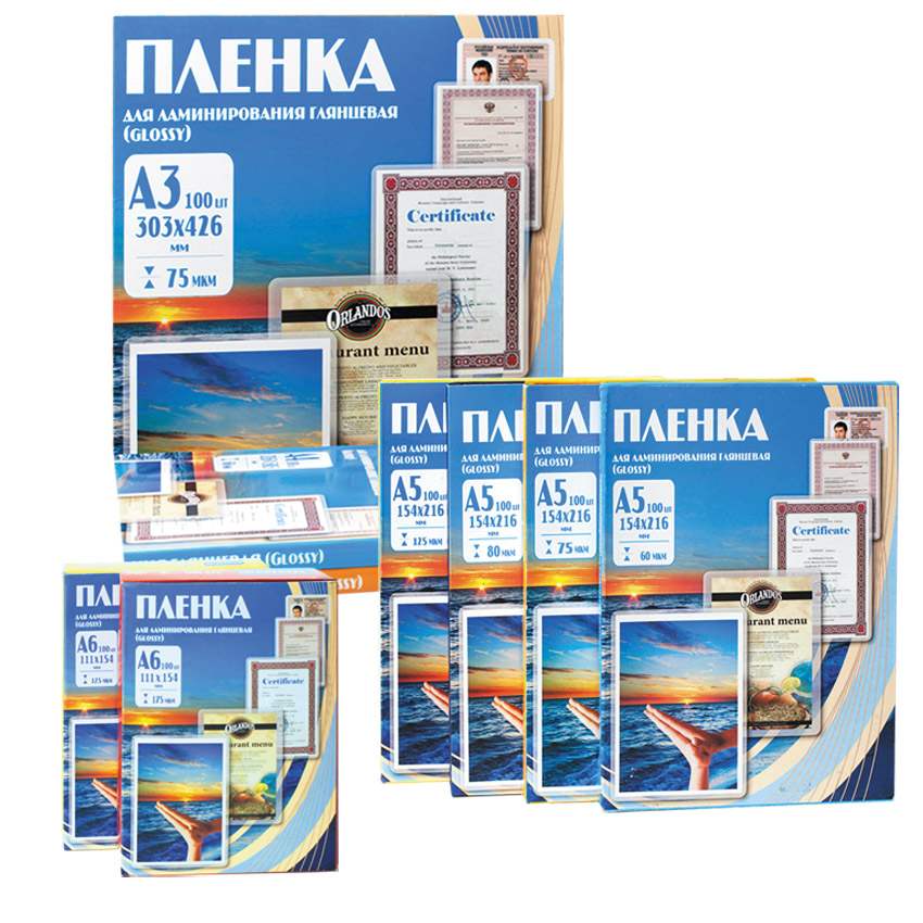 Пленка для ламинирования матовая, 303х216 мм, A4+, 100 мкм (100 шт.) Пленка для ламинирования матовая, 303х216 мм, A4+, 100 мкм (100 шт.)