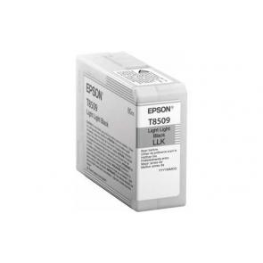 C13T850900
