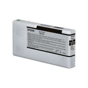C13T913100