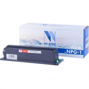 NV-NPG1